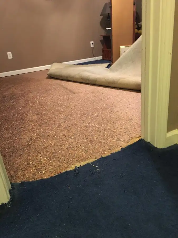 Carpet pad removal revealing water damage during Drying & Dehumidification in Clyde