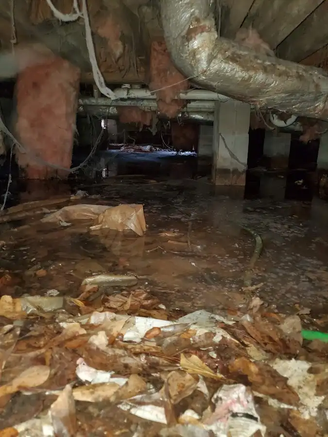 Crawl space flood assessment for Leak Detection & Repair in Clyde