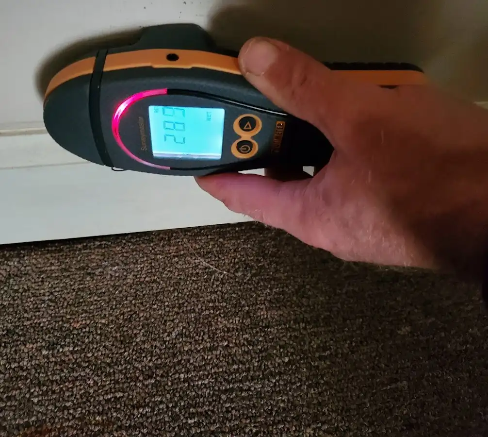 Moisture detection at baseboard during Burst Pipe Cleanup in Clyde